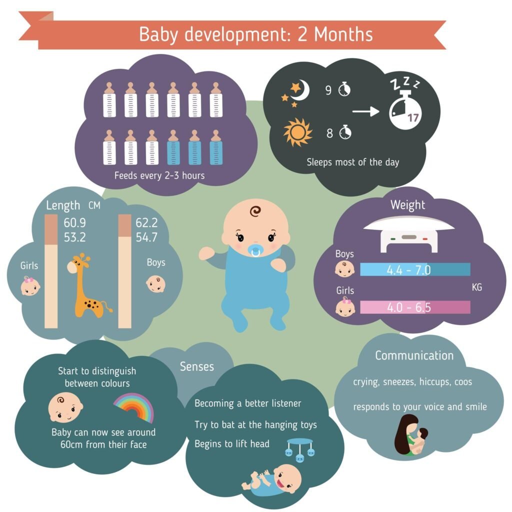 How Baby Brain Development by Month